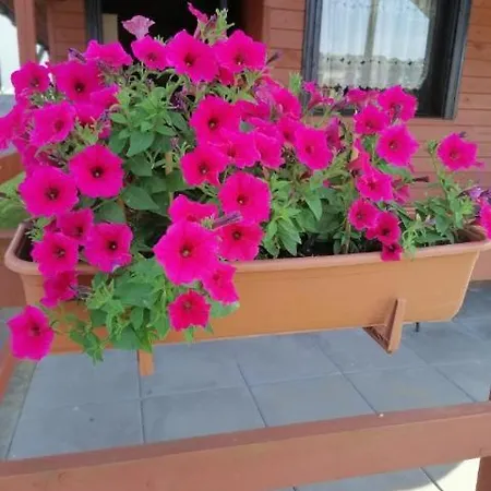 Nyaraló Letniskowe Gosia *